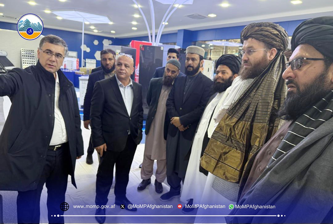 د کانونو او پټرولیم وزارت سرپرست د ازبکستان هېواد دانرژۍ له وزیر اود بېلابېلو وزارتونو له استازو سره وکتل
