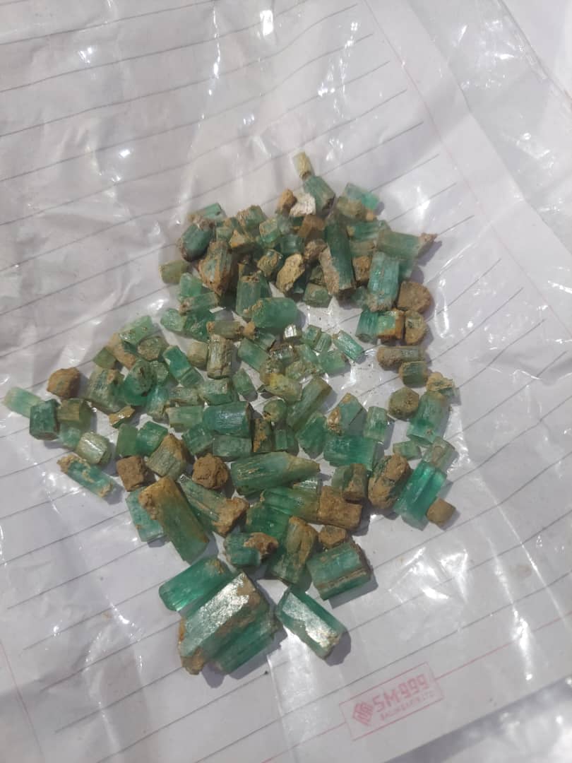 په پنجشېر ولایت کې د زمردو داوطلبي ترسره شوه