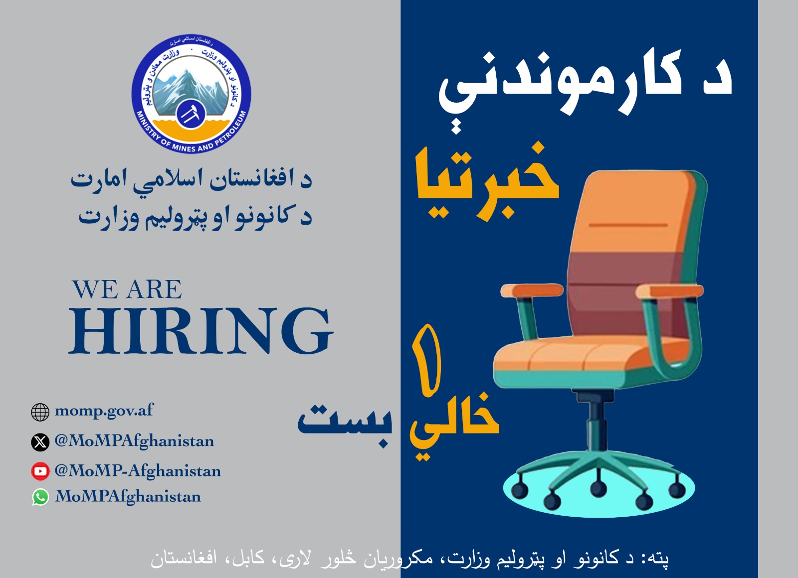 مدیر عمومی ویب