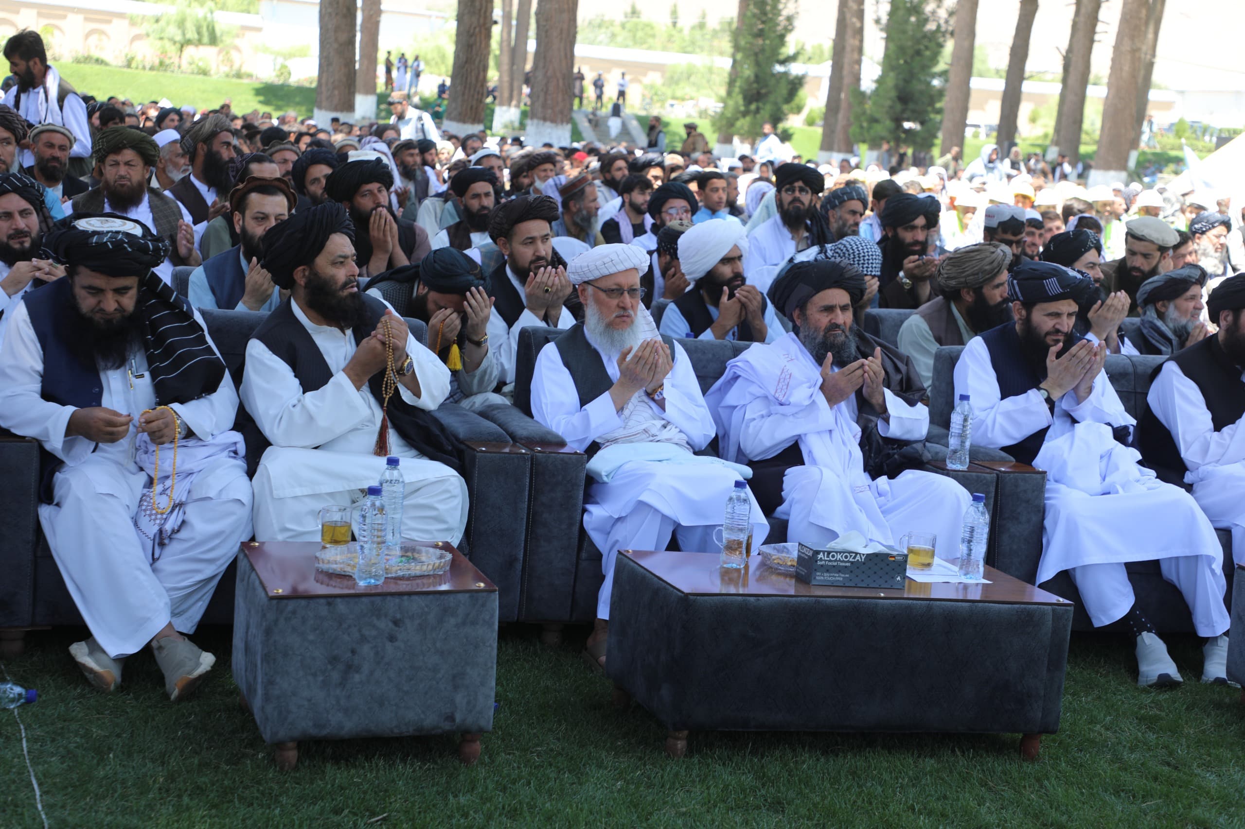 نیوز
